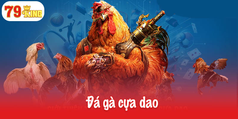 Đá gà cựa dao - Sự kết hợp giữa tinh thần chiến đấu và kỹ thuật 6 Đá gà cựa dao